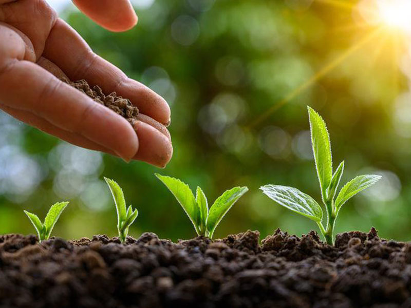 測土儀關(guān)系著作物的品質(zhì) 測土儀關(guān)系著作物的品質(zhì)